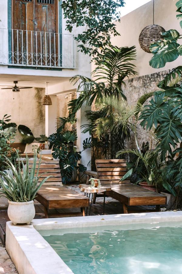 Casa Mezcla - Bed & Breakfast メリダ エクステリア 写真